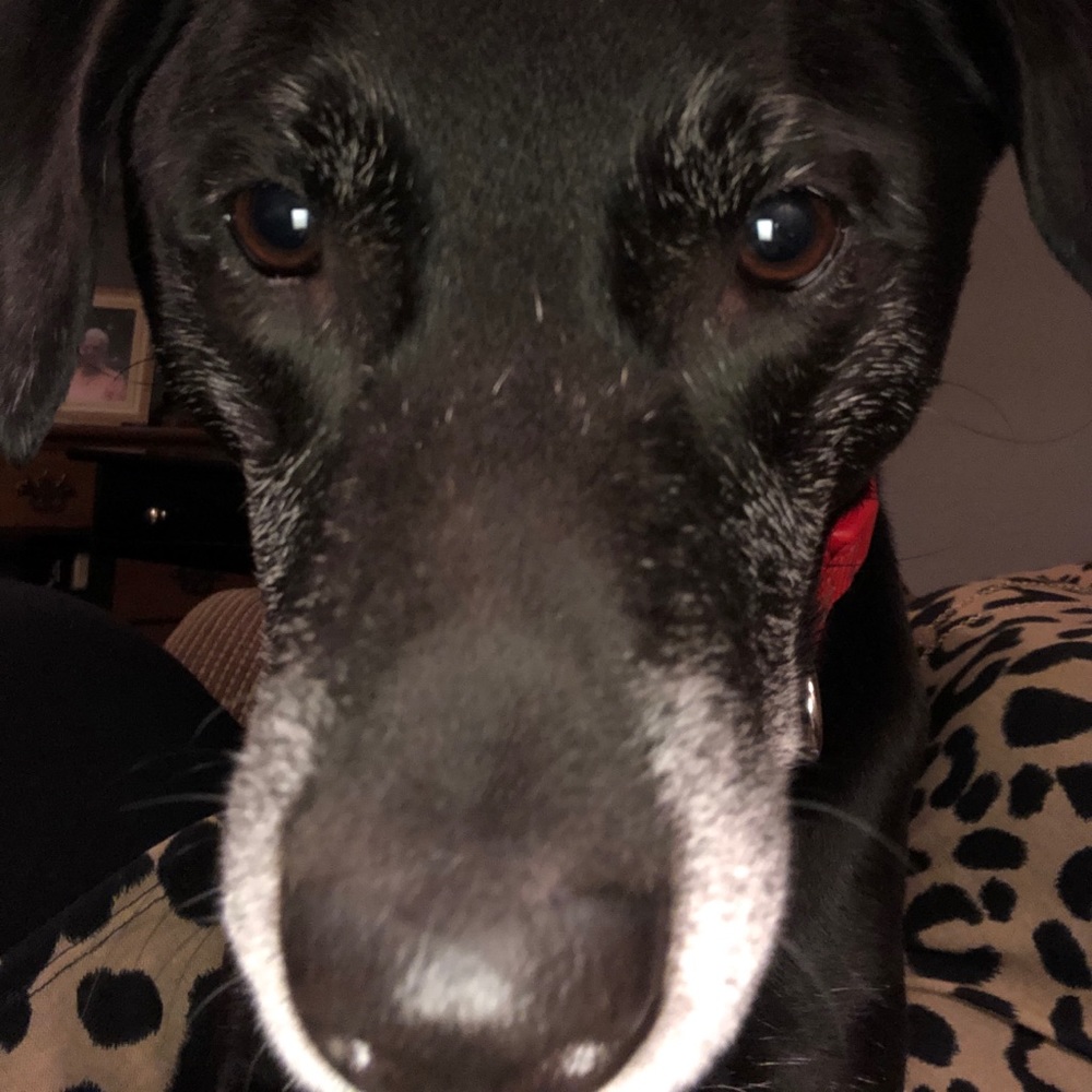 Meet your Posher, Johnna